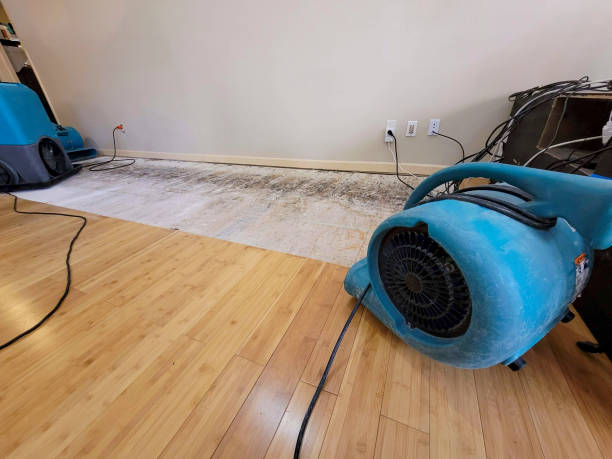 Professional Basement Flood Cleanup technician working in Fowler, MI